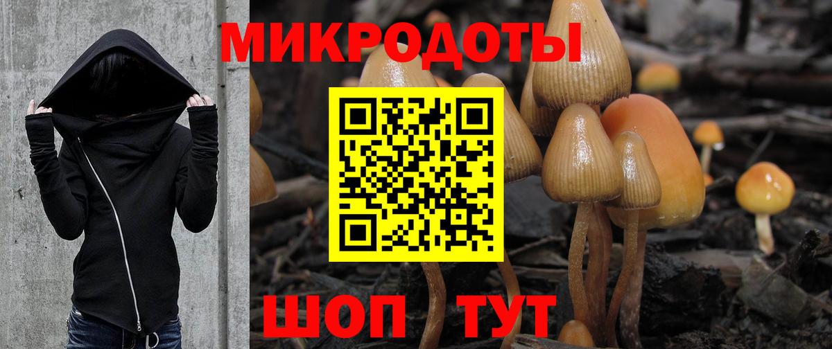 Норильск  Галлюциногенные грибы Cubensis  Вход с VPN 